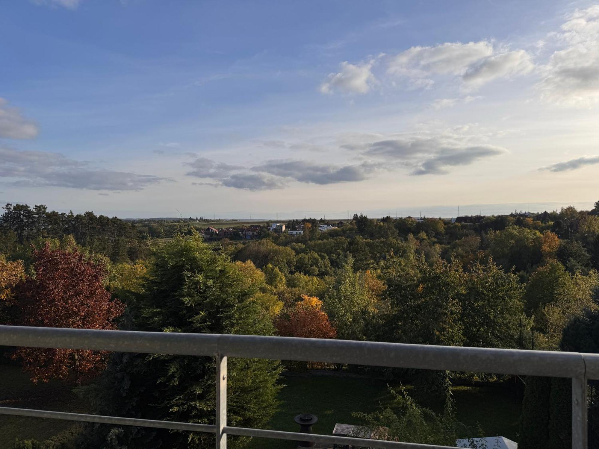 Diamondvilla, 4 Bedroom Apartment, Garden & Spa Praga Exterior foto